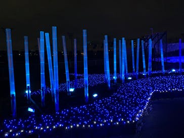 東京メガイルミに投稿された画像（2024/1/3）