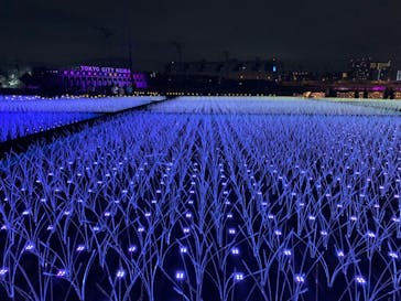 東京メガイルミに投稿された画像（2024/1/3）