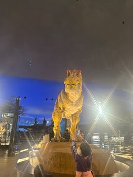 福井県立恐竜博物館に投稿された画像（2024/1/3）