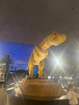 福井県立恐竜博物館に投稿された画像（2024/1/3）