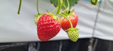 MIGAKI FARMに投稿された画像（2024/1/3）