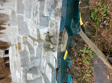 天王寺動物園に投稿された画像（2024/1/3）