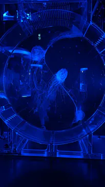 マクセル アクアパーク品川に投稿された画像（2024/1/3）