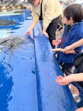 大分マリーンパレス水族館 「うみたまご」に投稿された画像（2024/1/3）