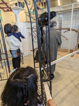 アニタッチみなとみらいに投稿された画像（2024/1/3）