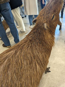 アニタッチみなとみらいに投稿された画像（2024/1/3）