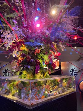 ネオパークオキナワに投稿された画像（2024/1/3）