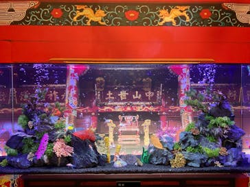 ネオパークオキナワに投稿された画像（2024/1/3）