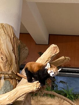 ネオパークオキナワに投稿された画像（2024/1/3）