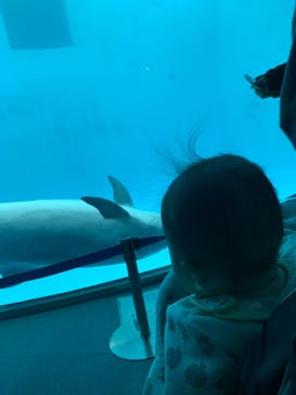 名古屋港水族館に投稿された画像（2024/1/3）