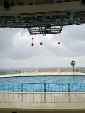 マリンワールド海の中道に投稿された画像（2024/1/3）