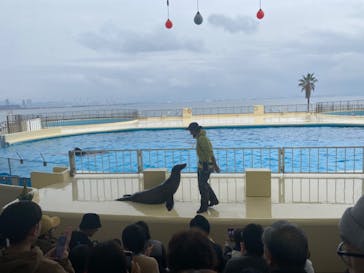 マリンワールド海の中道に投稿された画像（2024/1/3）