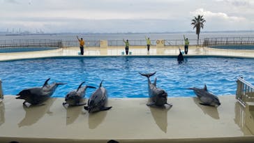 マリンワールド海の中道に投稿された画像（2024/1/3）