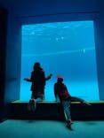 アクアワールド茨城県大洗水族館に投稿された画像（2024/1/3）