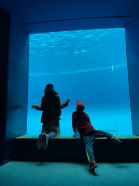 アクアワールド茨城県大洗水族館に投稿された画像（2024/1/3）