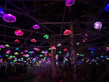 修善寺虹の郷に投稿された画像（2024/1/3）