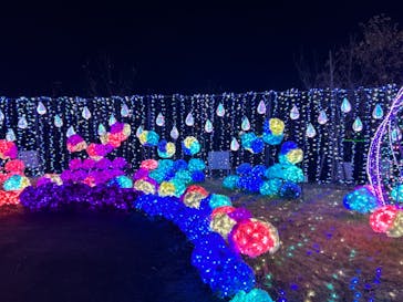 修善寺虹の郷に投稿された画像（2024/1/3）