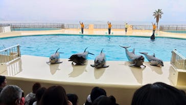 マリンワールド海の中道に投稿された画像（2024/1/3）