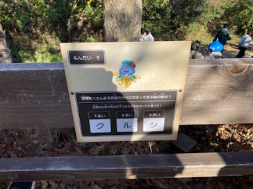 ニジゲンノモリに投稿された画像（2024/1/3）