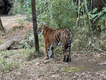 よこはま動物園ズーラシアに投稿された画像（2024/1/3）