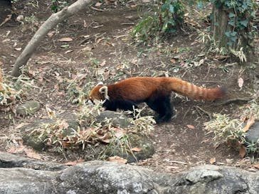 よこはま動物園ズーラシアに投稿された画像（2024/1/3）