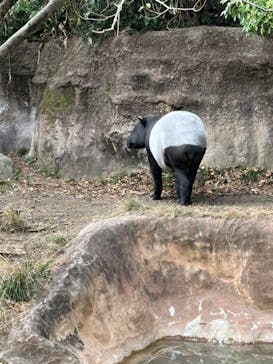 よこはま動物園ズーラシアに投稿された画像（2024/1/3）