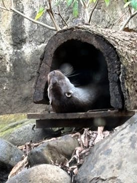 よこはま動物園ズーラシアに投稿された画像（2024/1/3）