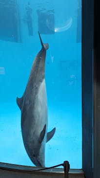 名古屋港水族館に投稿された画像（2024/1/3）