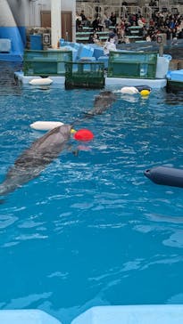 名古屋港水族館に投稿された画像（2024/1/3）