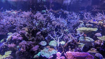 名古屋港水族館に投稿された画像（2024/1/3）