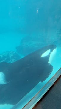 名古屋港水族館に投稿された画像（2024/1/3）