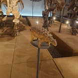 福井県立恐竜博物館に投稿された画像（2024/1/3）