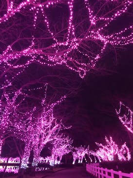 東武動物公園に投稿された画像（2024/1/3）