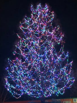 東武動物公園に投稿された画像（2024/1/3）