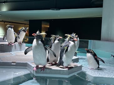 AOAO SAPPOROに投稿された画像（2024/1/3）