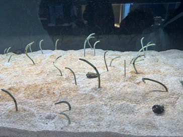 AOAO SAPPOROに投稿された画像（2024/1/3）