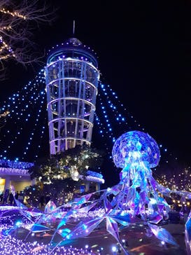 江の島シーキャンドルに投稿された画像（2024/1/3）