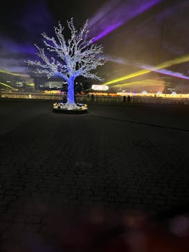 東京メガイルミに投稿された画像（2024/1/3）