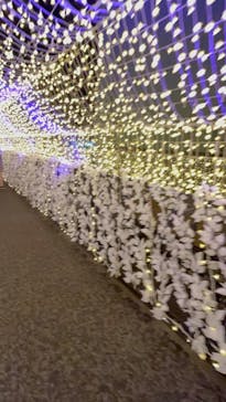 東京メガイルミに投稿された画像（2024/1/3）