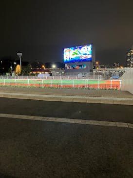 東京メガイルミに投稿された画像（2024/1/3）