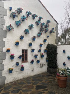 志摩スペイン村パルケエスパーニャに投稿された画像（2024/1/3）