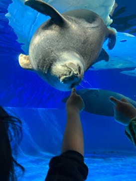 サンシャイン水族館に投稿された画像（2024/1/3）