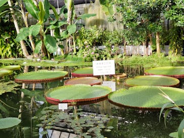 熱川バナナワニ園に投稿された画像（2024/1/3）