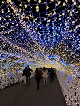 東京メガイルミに投稿された画像（2024/1/3）