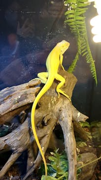 DMMかりゆし水族館に投稿された画像（2024/1/3）