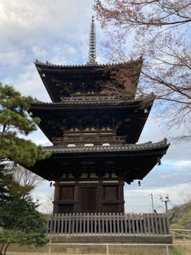 三溪園に投稿された画像（2024/1/3）