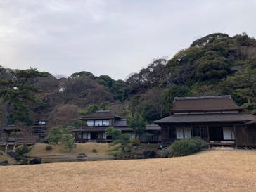 三溪園に投稿された画像（2024/1/3）