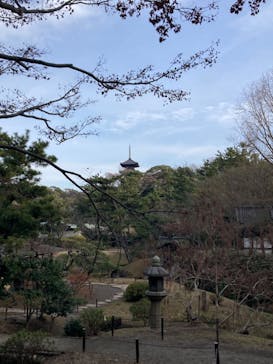 三溪園に投稿された画像（2024/1/3）