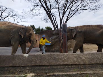 日立市かみね動物園に投稿された画像（2024/1/3）