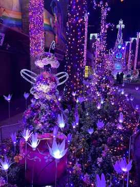 ひらかたパークに投稿された画像（2024/1/3）